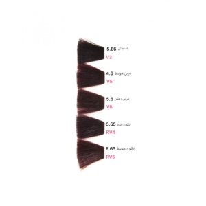 رنگ موی پادینا انگوری متوسط کد RV6 6-65 