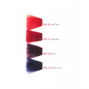 رنگ موی پادینا سرمه ای کبالتی PN.13