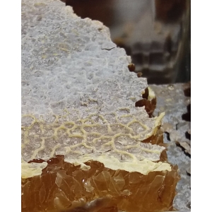 عسل طبیعی یک کیلویی چهل گیاه سبلان