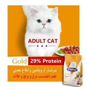 غذای خشک گربه پرامی مدل Adult وزن 10 کیلوگرم