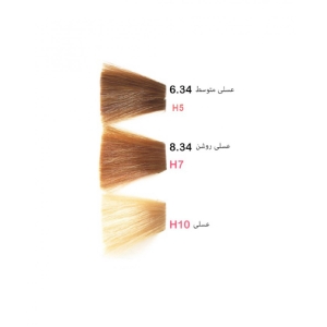 رنگ موی پادینا عسلی H10