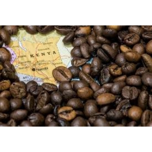 دانه قهوه کنیا هایک 250 گرم