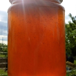 عسل طبیعی آفتاب گردان حجم 1000 گرم