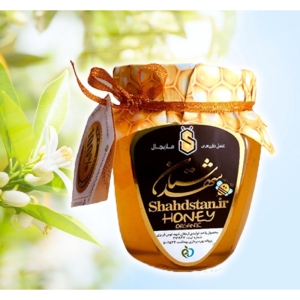 عسل بهارنارنج شهدستان یک کیلوگرم