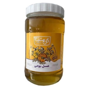 عسل طبیعی بومی گل بهشت مقدار 820 گرم