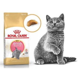 غذای خشک گربه رویال کنین British Shorthair Kitten کد2021 وزن 2 کیلوگرم