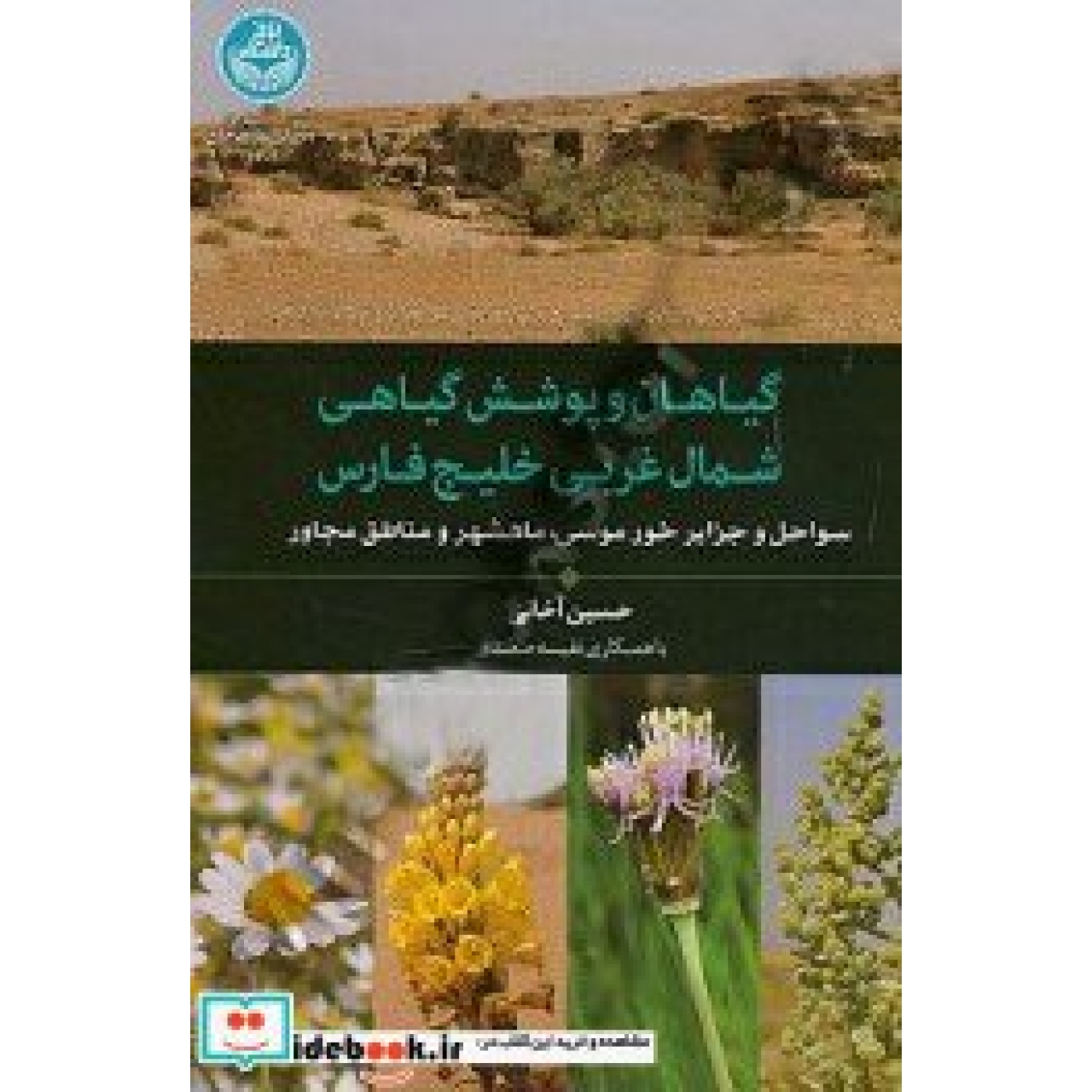 گیاهان و پوشش گیاهی شمال غربی خلیج فارس سواحل و جزایر خور موسی، ماهشهر و مناطق مجاور 3602