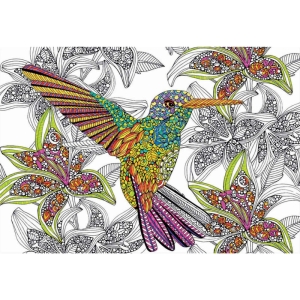 پازل 300 تکه ادوکا مدل Hummingbird Colouring کد 17083
