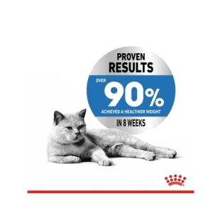 غذای خشک گربه لایت ویت رویال کنین وزن 8 کیلوگرم