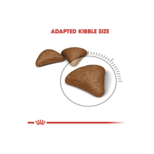 غذای خشک گربه هیربال رویال کنین وزن 4 کیلوگرم