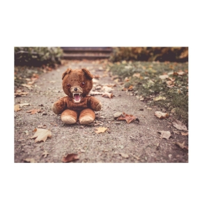 تابلو شاسی مدل خرس عصبانی