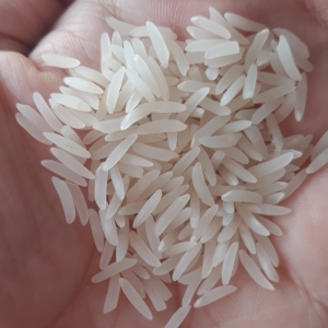 برنج فجرمعطر فریدونکنار ناظری وزن 5 کیلوگرم