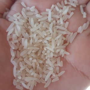 برنج سرلاشه فجر ناظری کناری وزن 5 کیلوگرم