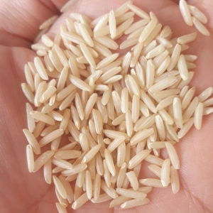 برنج قهوه ای ناظری کناری وزن 5 کیلوگرم