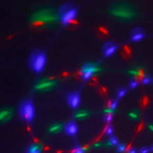 چراغ رقص نور گردان دیسکویی مدل Dancing RGB LED