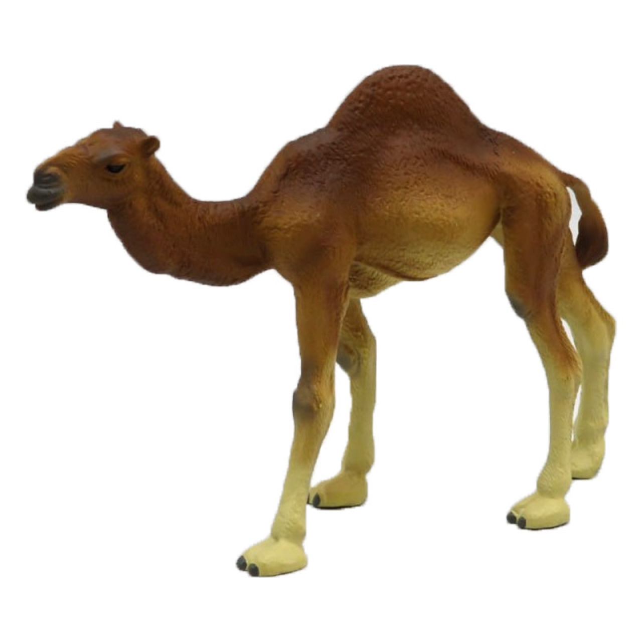 فیگور مدل شتر کد 2