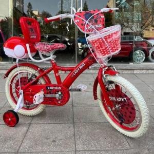دوچرخه شهری مدل LADY BUG سایز 20