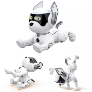 ربات کنترلی مدل Stunt Dog