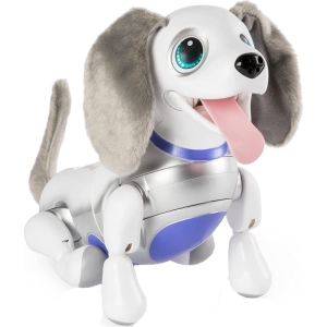 ربات اسپین مستر مدل Playful Pup