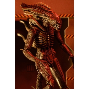 اکشن فیگور نکا مدل Alien Xenomorph 7