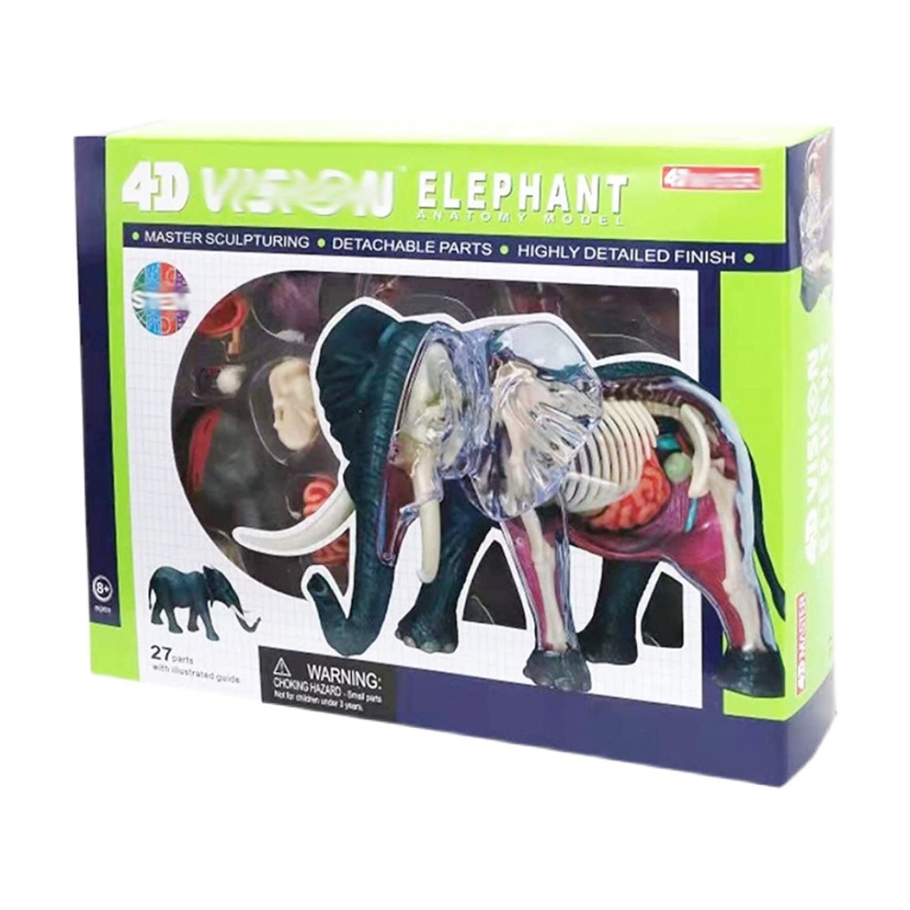 بازی آموزشی مدل آناتومی بدن فیل کد 622037