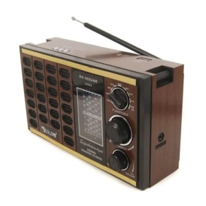 رادیو اسپیکر گولون Golon RX-302UAR 