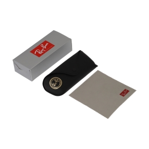 عینک آفتابی ری بن مدل RB8313-004