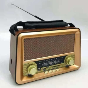 رادیو گولون مدل RX-BT1006