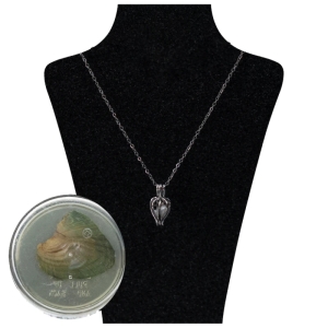 گردنبند مدل Pearl مروارید طبیعی عشق