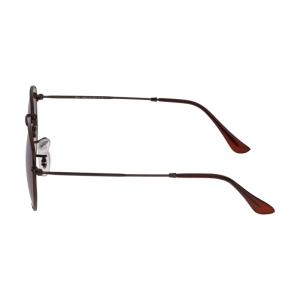 عینک آفتابی چندضلعی غیر پلاریزه ری بن مدل 3548N-014/51