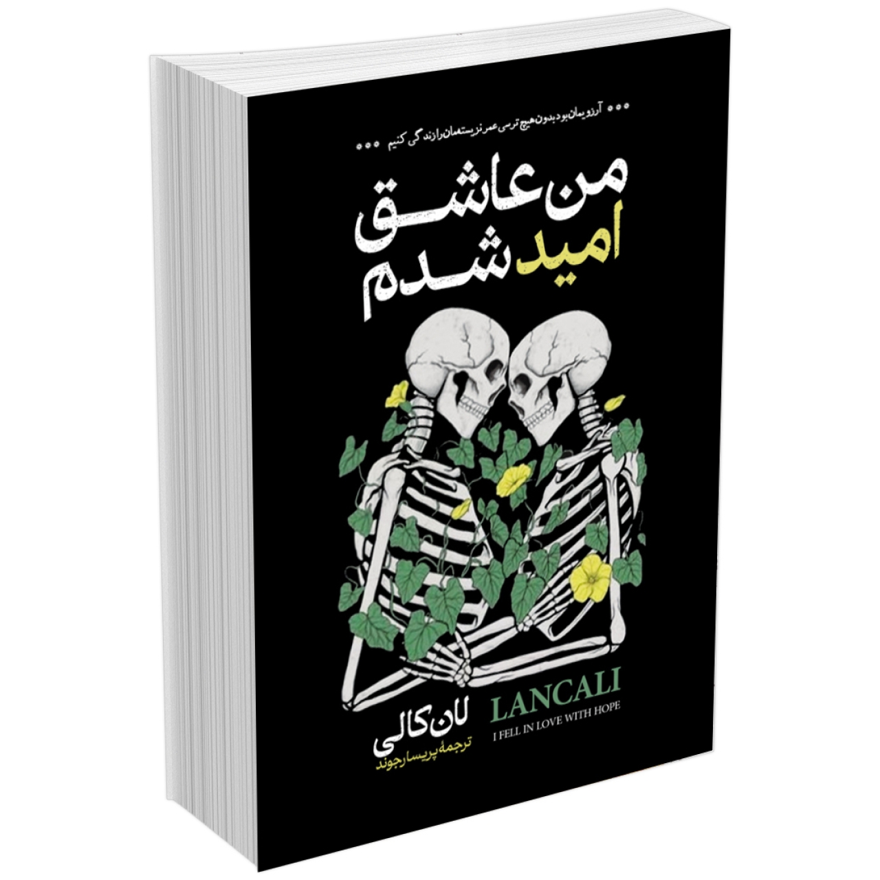 کتاب من عاشق امید شدم اثر لان کالی انتشارات آیین محمود