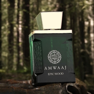 عطر ادکلن مردانه فراگرنس ورد مدل اپیک وود رایحه آمواژ اپیک حجم 100 میل