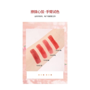 رژ لب جامد AFDF مدل مخملی شماره 706