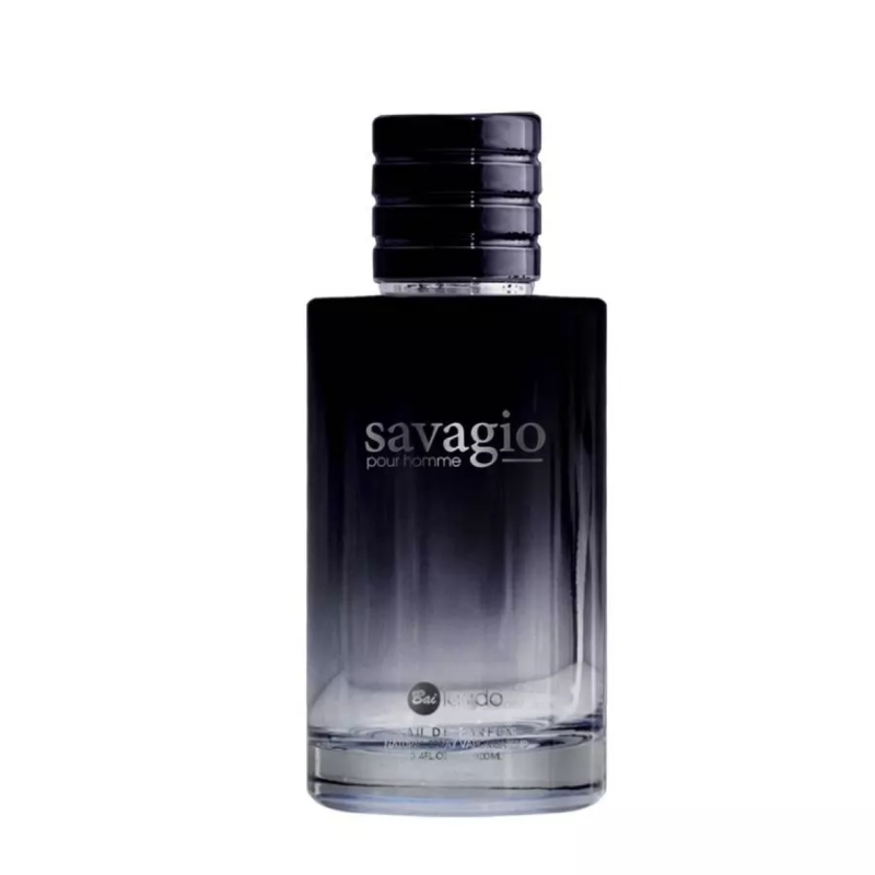 ادوپرفیوم مردانه بایلندو مدل Savagio حجم 100 میلی لیتر