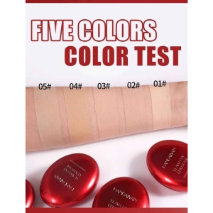 کوشن کرم پودری هندیان مدل Mask Fit Red Cushion وزن 6 گرم شماره 01