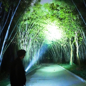  چراغ قوه و فندک الکتریکی اسمایلینگ شارک مدل SD-5206 