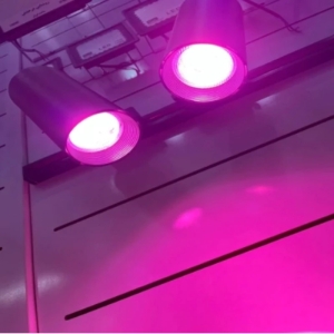 چراغ ریلی ZFR مدل لامپ کری 30 وات