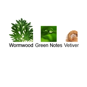 تستر اکستریت د پرفیوم ناسوماتو مدل ابسنت حجم 30 میلی لیتر