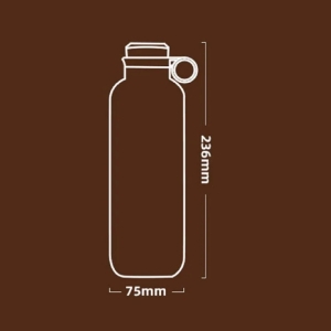 بطری آب 650 میلیلیتری استیل ضد زنگ اکورا E-005