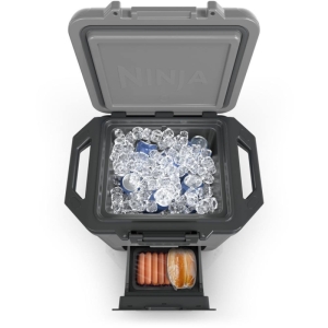 یخچال مسافرتی نینجا مدل FB131