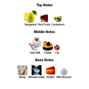 ادوپرفیوم مردانه فراگرنس ورد مدل سالت حجم 100 میلی لیتر