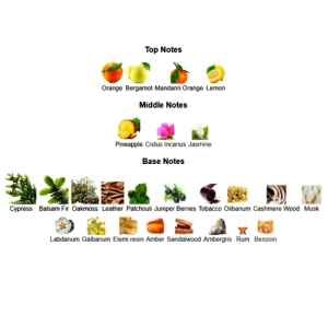 ادوپرفیوم مردانه فراگرنس ورد مدل امپریوم ایکس حجم 100 میلی لیتر