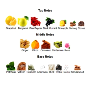 تستر ادوپرفیوم مردانه کرید مدل ابسولو اونتوس حجم 75 میلی لیتر