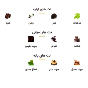 تستر ادوپرفیوم بایردو مدل ماریجوانا حجم 100 میلی لیتر