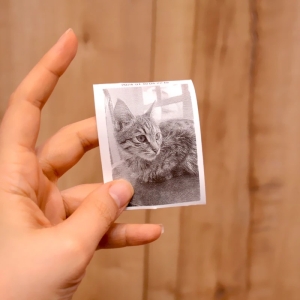 پرینتر حرارتی مدل MINI Printer X2 رنگ صورتی