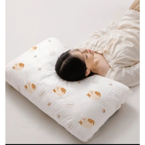 روبالشتی یکبارمصرف پک 10عددی