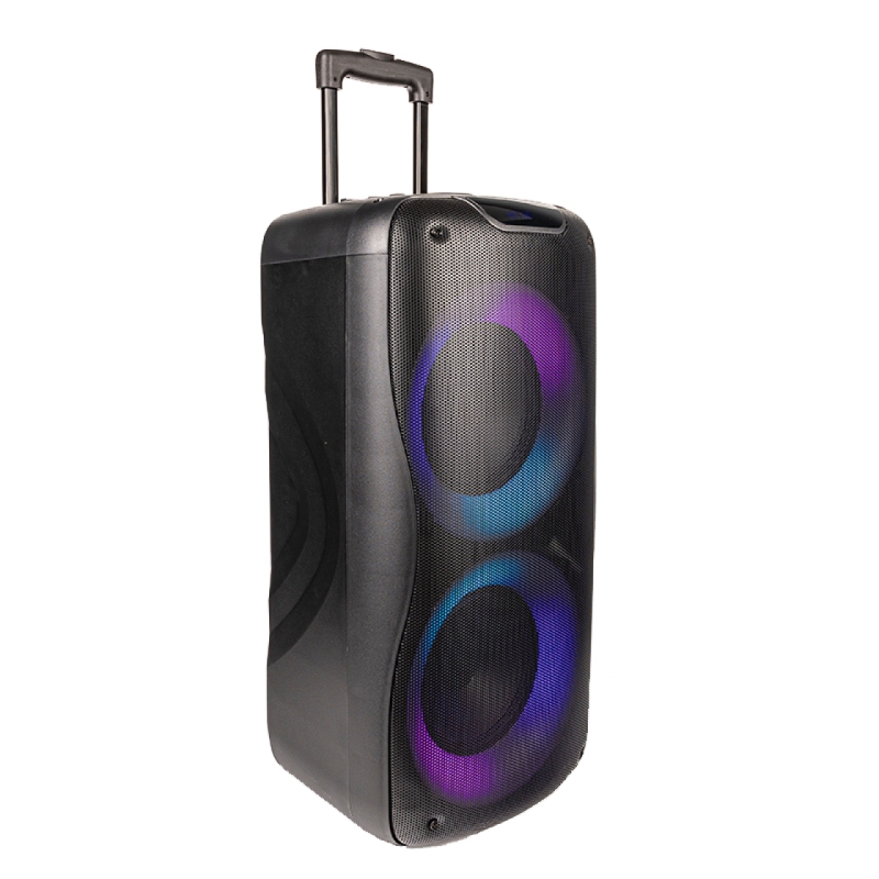 اسپیکر چمدانی هیسکا مدل 1009