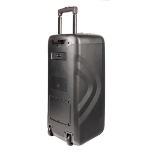 اسپیکر چمدانی هیسکا مدل 1009