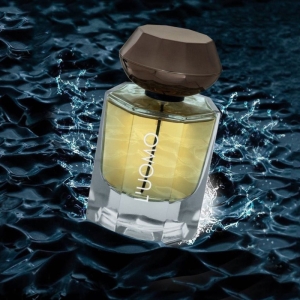 ادوپرفیوم مردانه فراگرنس ورد مدل ایو سن لورن لهوم حجم 100 میل