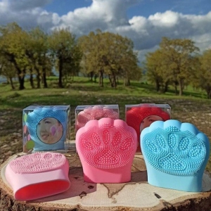 برس پاک‌سازی مدل 02